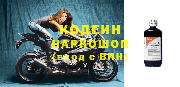 таблы Бородино